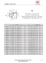 Raccordo BSP maschio cono femmina BSP