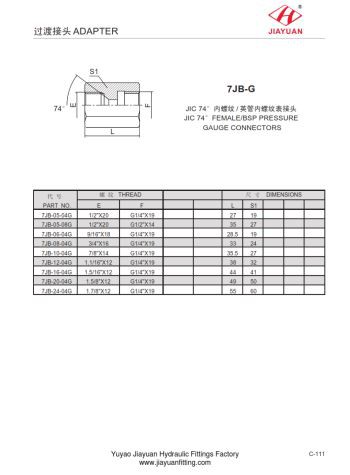 Connettore indicatore JSP femmina sede BSP
