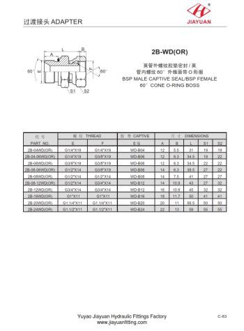 O-ring a cono girevole con guarnizione ED BSP maschio