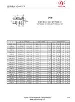 Raccordi girevoli BSP ORR maschio