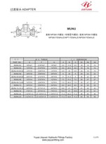 NPSM NPT Raccordo a barra girevole