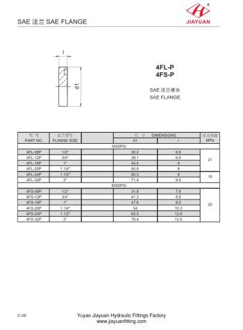 Tappo flangia cieca SAE