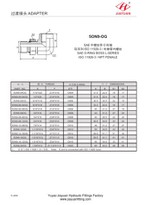 Raccordo adattatore femmina SAE NPT